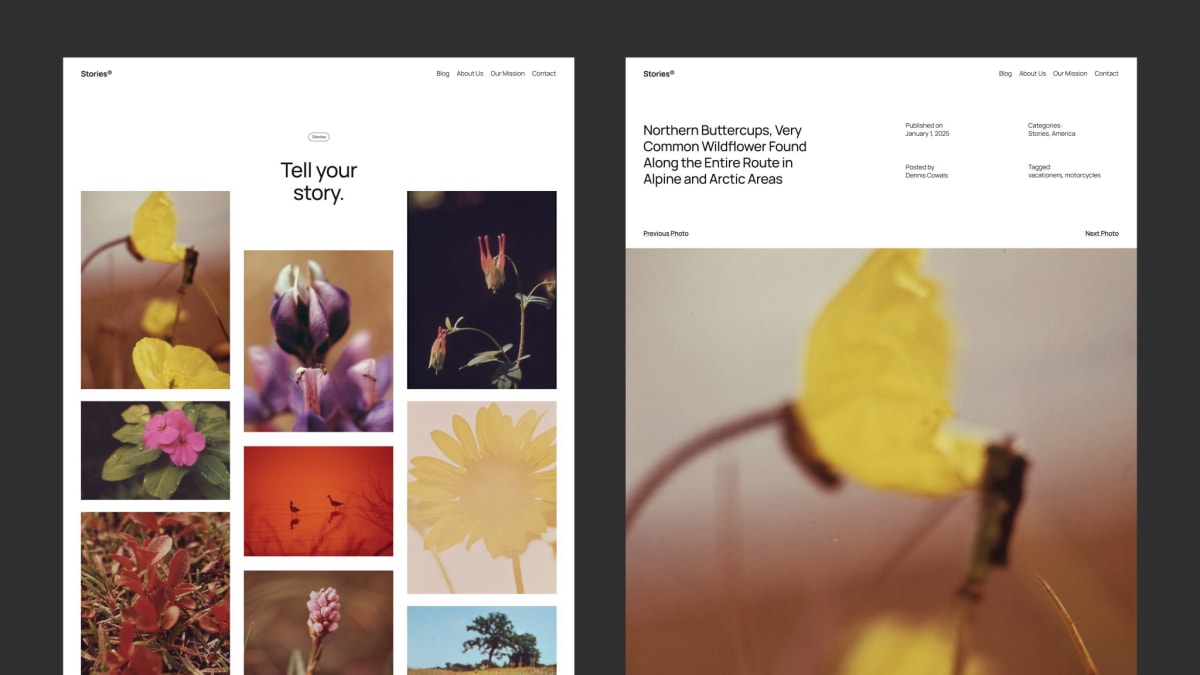 WordPress 6.7 新主题 Twenty Twenty-Five 预览