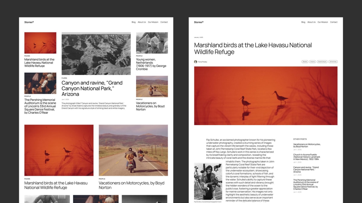 WordPress 6.7 新主题 Twenty Twenty-Five 预览-图片3